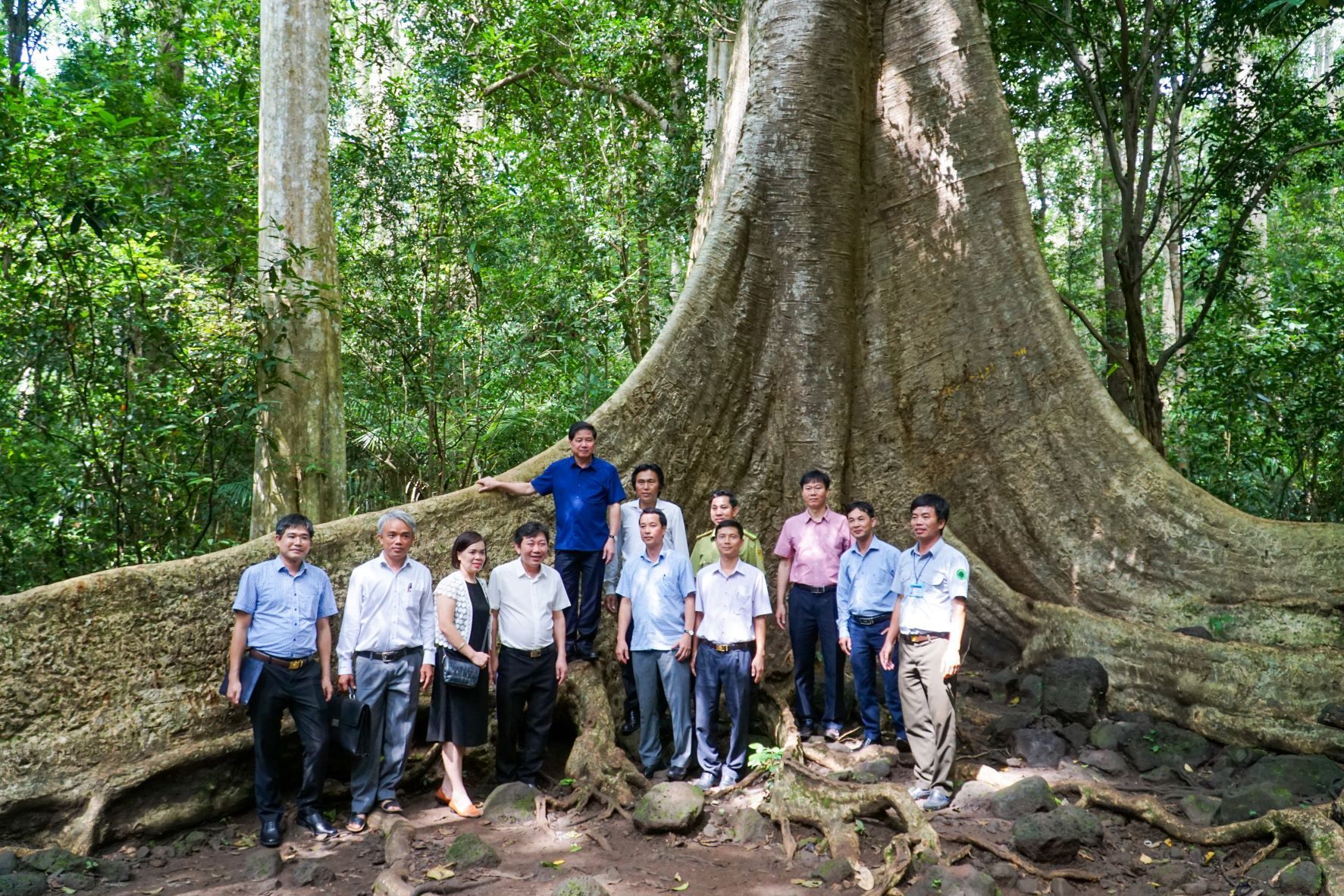 A group of people standing in front of a large tree

Description automatically generated with medium confidence