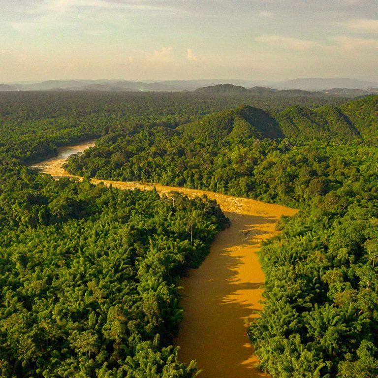 A river running through a forest Description automatically generated with low confidence