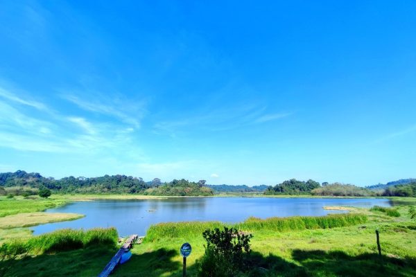 Khu nhà nghỉ Bàu Sấu có view nhìn ra Bàu nước xanh.